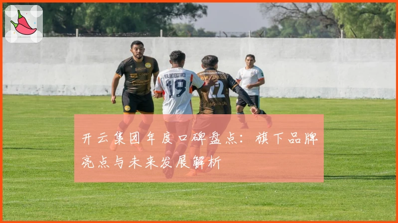 开云集团年度口碑盘点：旗下品牌亮点与未来发展解析